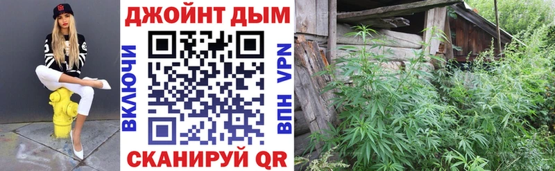 Купить где  Красавино  Марихуана план 